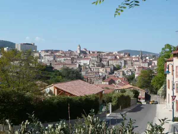 Occasion Monte Escalier Monte-escalier Annonay