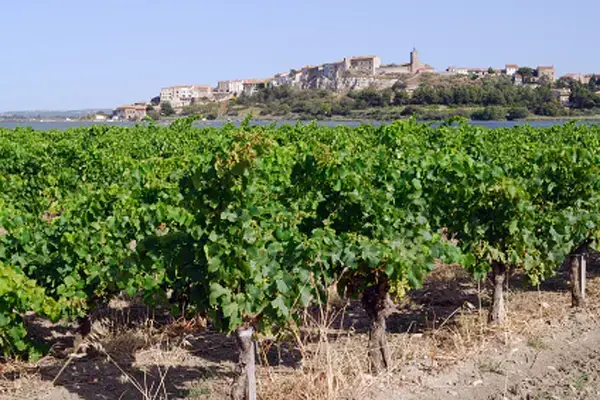 Occasion Monte Escalier Monte-escalier Bages