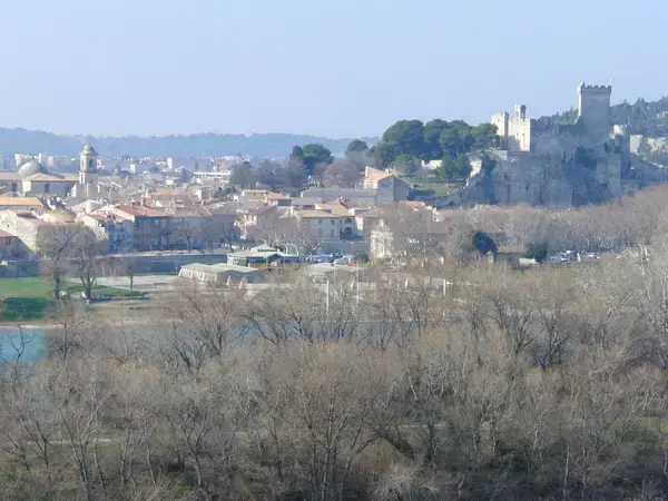 Occasion Monte Escalier Monte-escalier Beaucaire