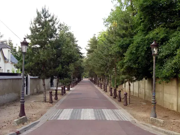 Occasion Monte Escalier Monte-escalier Beauchamp