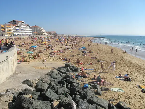 Occasion Monte Escalier Monte-escalier Capbreton
