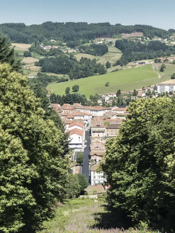 Occasion Monte Escalier Monte-escalier Cours