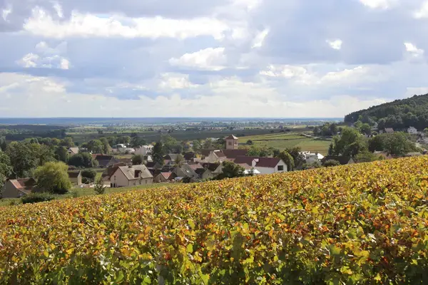 Occasion Monte Escalier Monte-escalier Gevrey-Chambertin