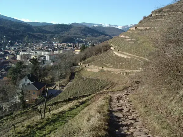 Occasion Monte Escalier Monte-escalier Guebwiller