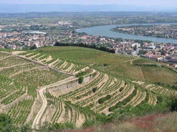 Occasion Monte Escalier Monte-escalier Tain-l'Hermitage